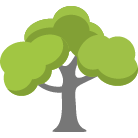 Madison Tree Removal Service
