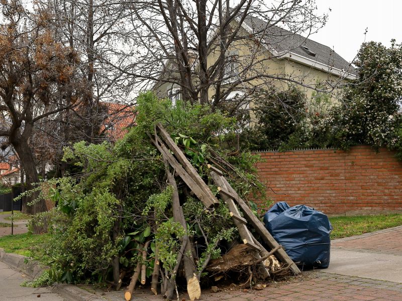 Clearing Debris from a Driveway