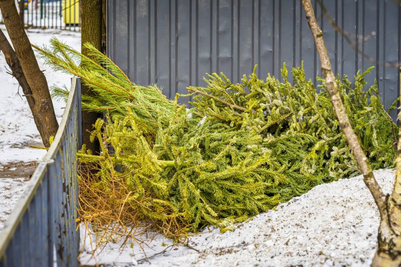 Winter Landscape Preparation